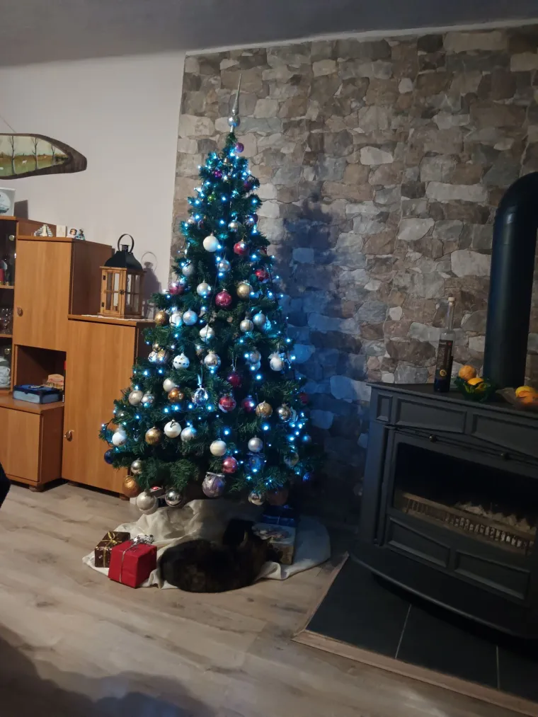 Doček je pro&scaron;ao, ali blagdanski sjaj traje: Uživajte u pogledu na va&scaron;ih 50 prekrasnih jelki