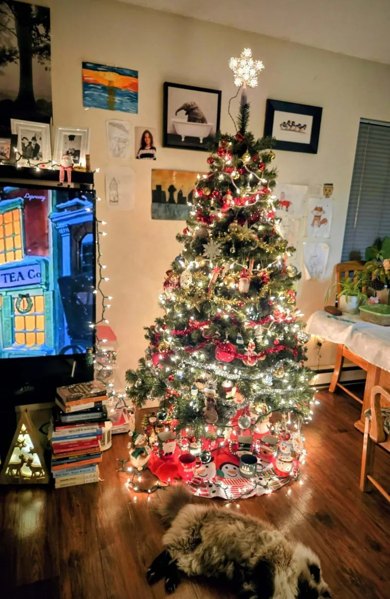 Doček je pro&scaron;ao, ali blagdanski sjaj traje: Uživajte u pogledu na va&scaron;ih 50 prekrasnih jelki