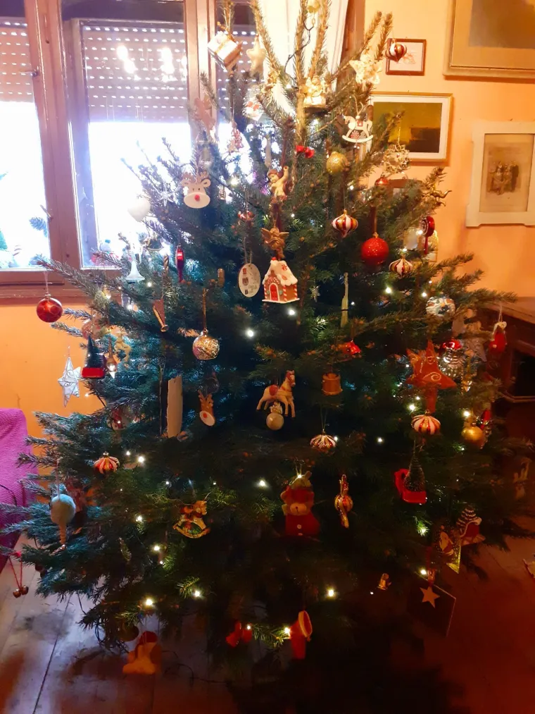 Doček je pro&scaron;ao, ali blagdanski sjaj traje: Uživajte u pogledu na va&scaron;ih 50 prekrasnih jelki