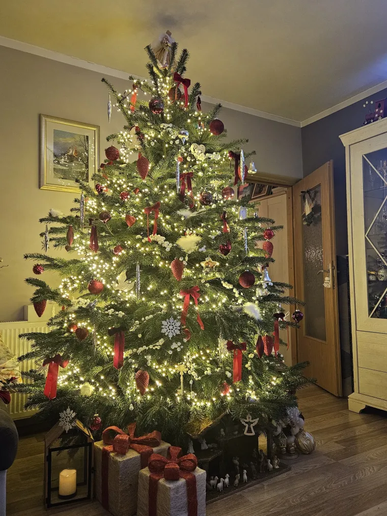 Doček je pro&scaron;ao, ali blagdanski sjaj traje: Uživajte u pogledu na va&scaron;ih 50 prekrasnih jelki