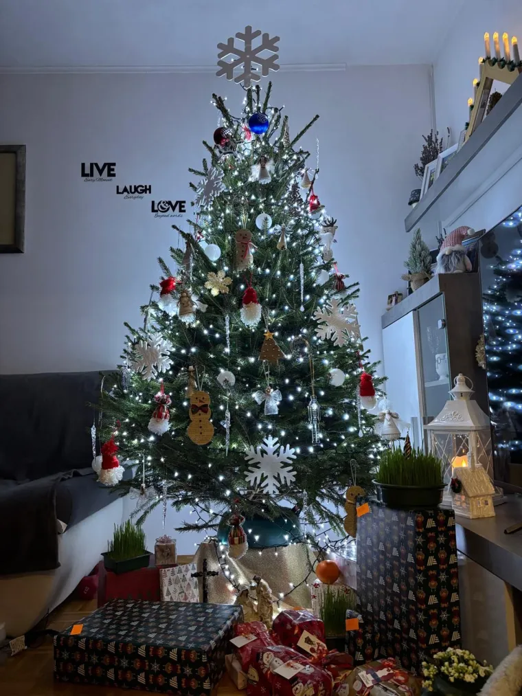 Doček je pro&scaron;ao, ali blagdanski sjaj traje: Uživajte u pogledu na va&scaron;ih 50 prekrasnih jelki