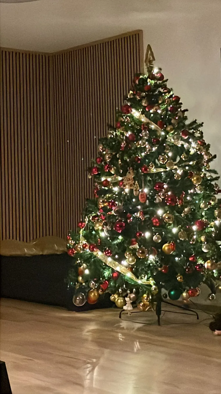 Doček je pro&scaron;ao, ali blagdanski sjaj traje: Uživajte u pogledu na va&scaron;ih 50 prekrasnih jelki