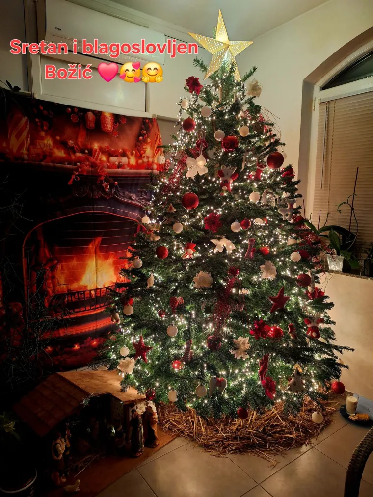 Doček je pro&scaron;ao, ali blagdanski sjaj traje: Uživajte u pogledu na va&scaron;ih 50 prekrasnih jelki