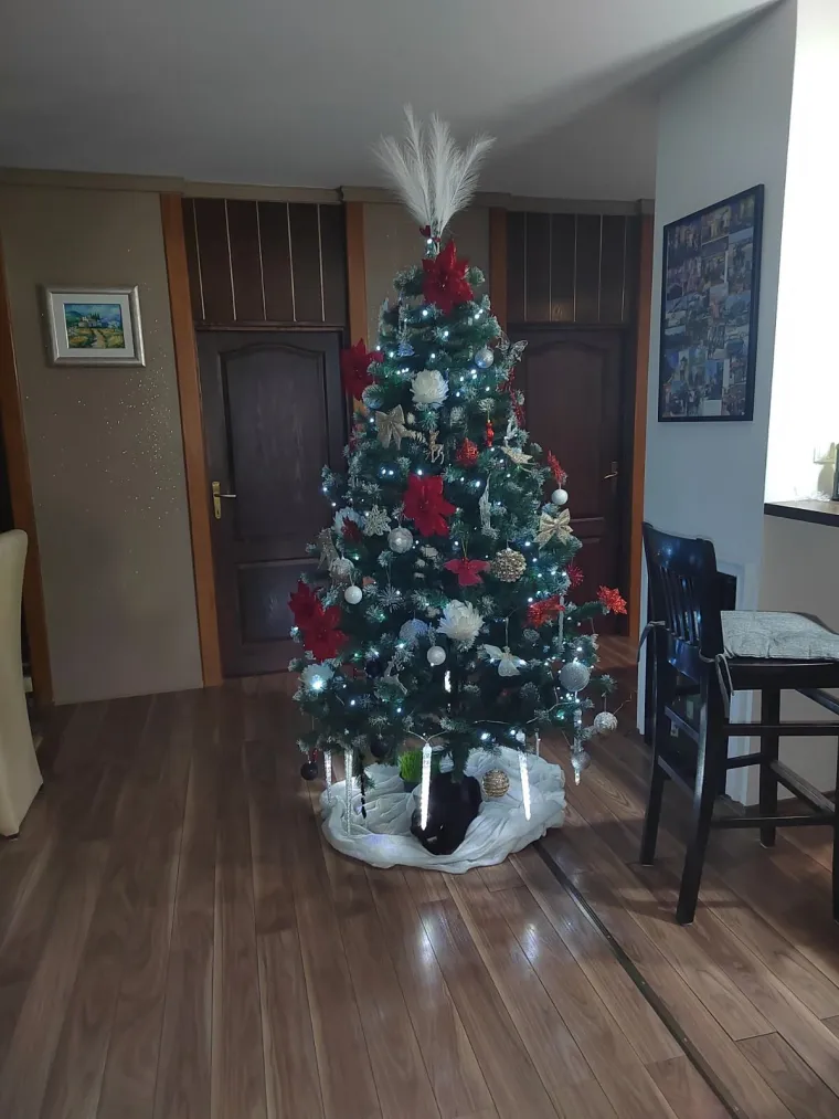 Doček je pro&scaron;ao, ali blagdanski sjaj traje: Uživajte u pogledu na va&scaron;ih 50 prekrasnih jelki