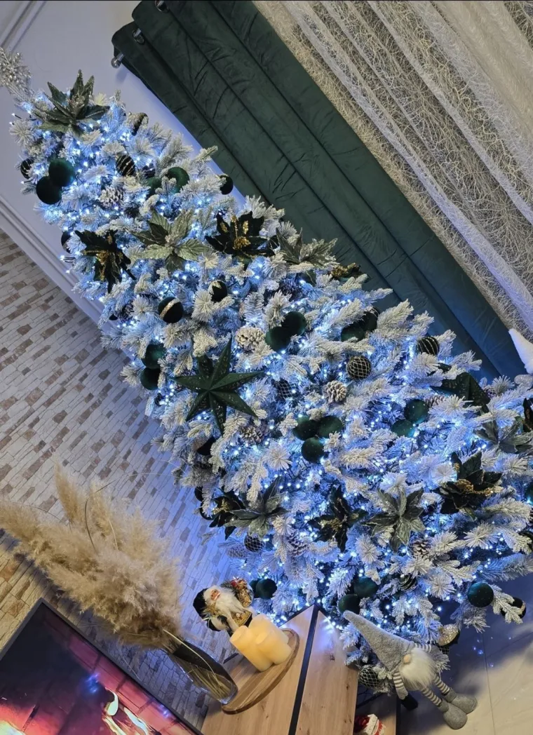 Doček je pro&scaron;ao, ali blagdanski sjaj traje: Uživajte u pogledu na va&scaron;ih 50 prekrasnih jelki