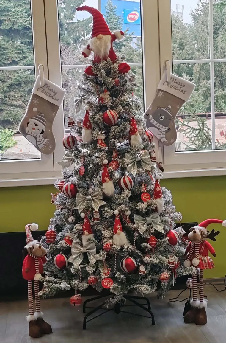 Doček je pro&scaron;ao, ali blagdanski sjaj traje: Uživajte u pogledu na va&scaron;ih 50 prekrasnih jelki