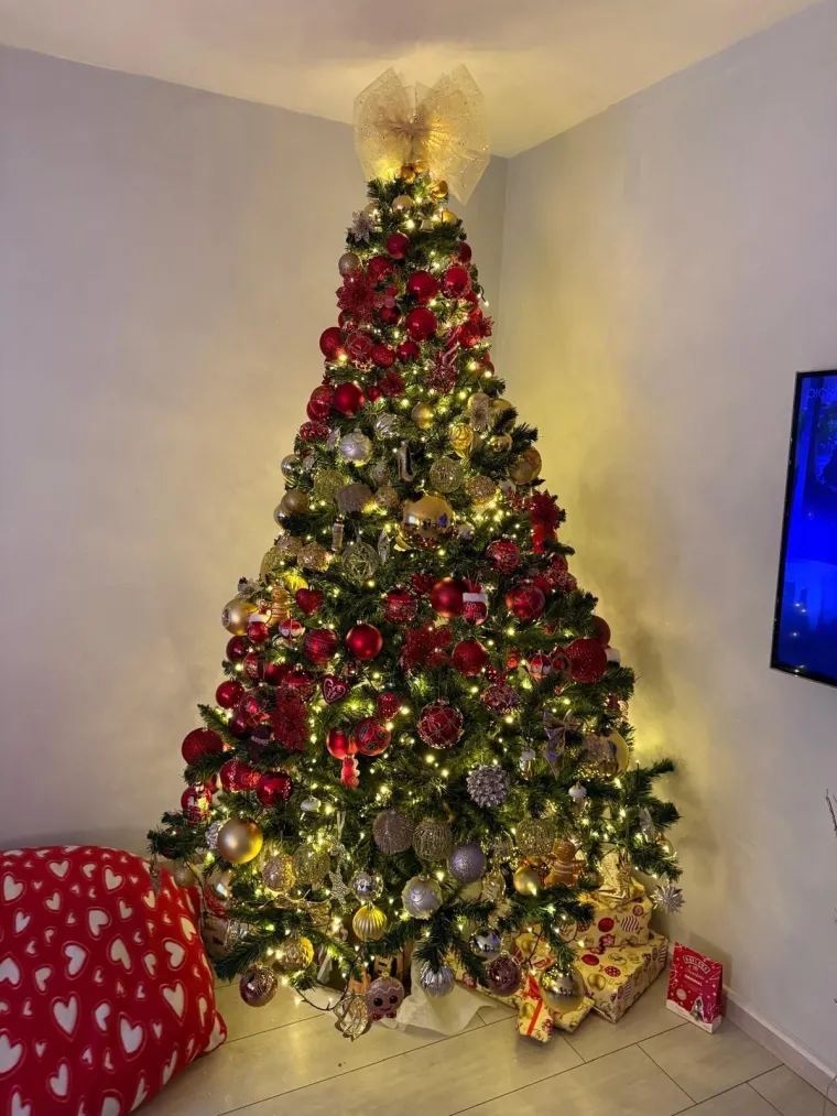 Doček je pro&scaron;ao, ali blagdanski sjaj traje: Uživajte u pogledu na va&scaron;ih 50 prekrasnih jelki