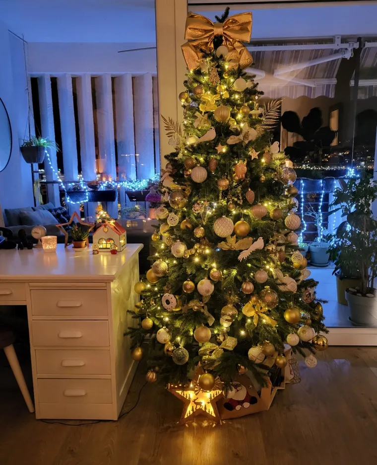 Doček je pro&scaron;ao, ali blagdanski sjaj traje: Uživajte u pogledu na va&scaron;ih 50 prekrasnih jelki