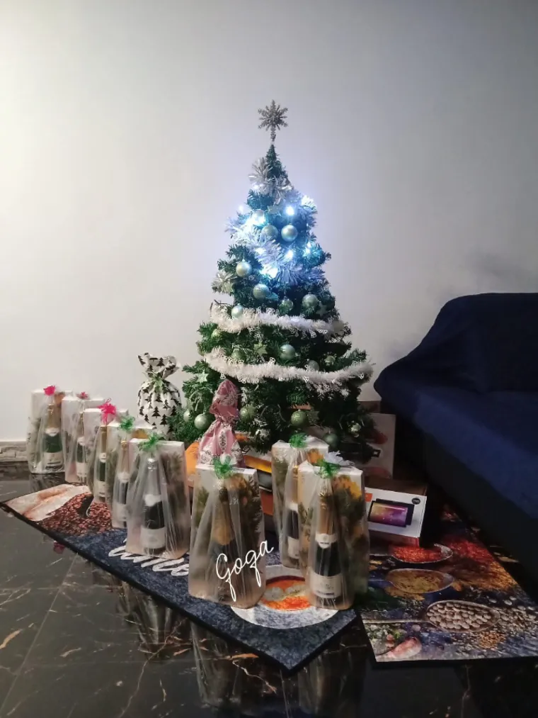 Doček je pro&scaron;ao, ali blagdanski sjaj traje: Uživajte u pogledu na va&scaron;ih 50 prekrasnih jelki