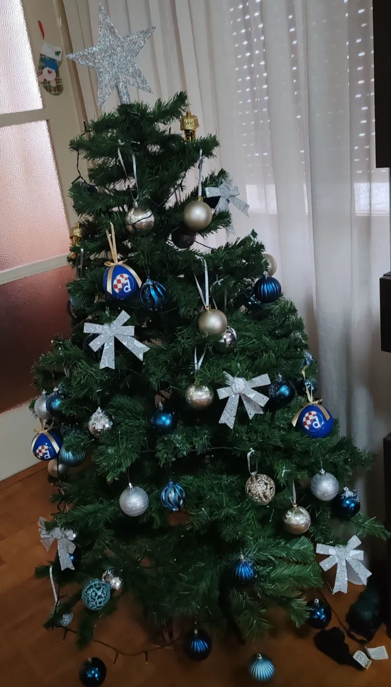 Doček je pro&scaron;ao, ali blagdanski sjaj traje: Uživajte u pogledu na va&scaron;ih 50 prekrasnih jelki