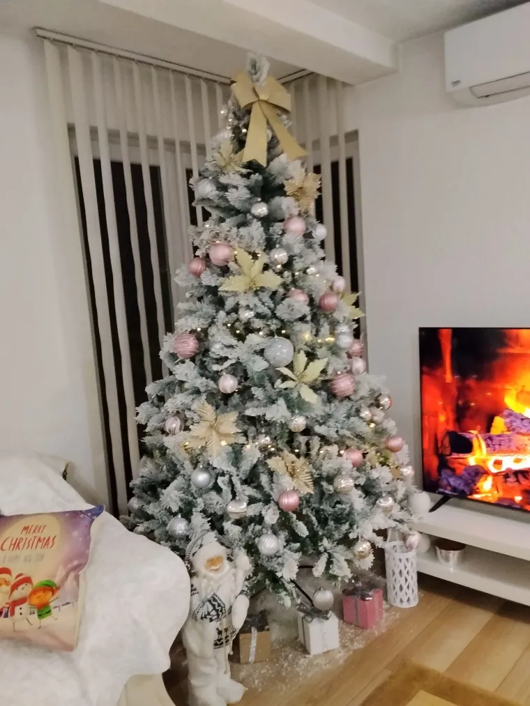 Doček je pro&scaron;ao, ali blagdanski sjaj traje: Uživajte u pogledu na va&scaron;ih 50 prekrasnih jelki