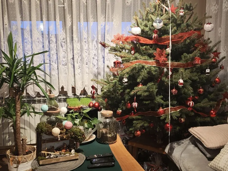 Doček je pro&scaron;ao, ali blagdanski sjaj traje: Uživajte u pogledu na va&scaron;ih 50 prekrasnih jelki