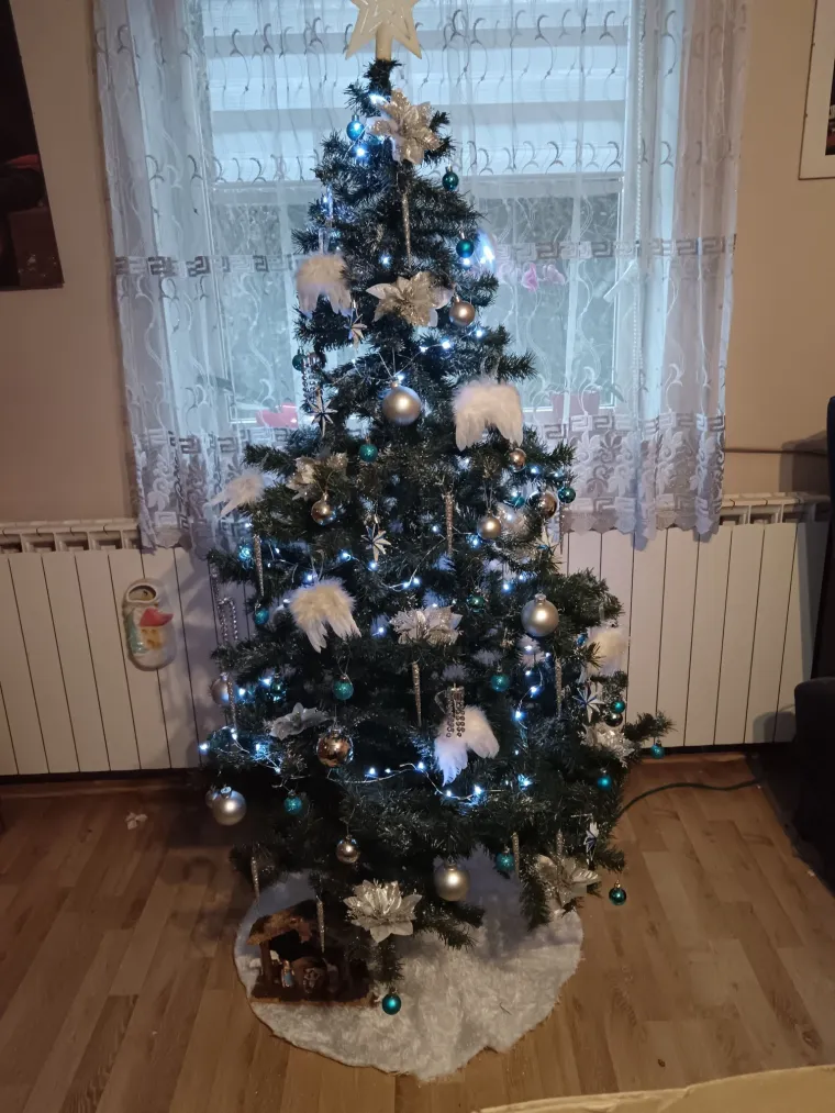 Doček je pro&scaron;ao, ali blagdanski sjaj traje: Uživajte u pogledu na va&scaron;ih 50 prekrasnih jelki