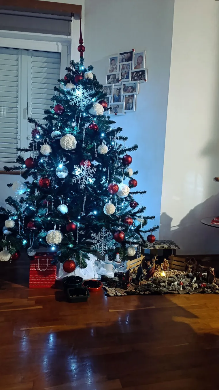 Doček je pro&scaron;ao, ali blagdanski sjaj traje: Uživajte u pogledu na va&scaron;ih 50 prekrasnih jelki