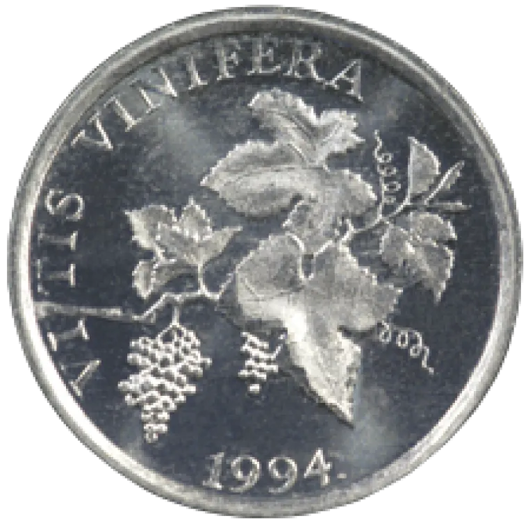 Bye, bye kovanice kune! Prisjetili smo se &scaron;to je bilo na njima: Sjećate li se vi?