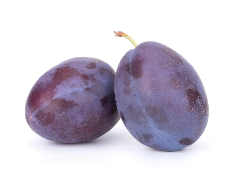 Stvarno si genijalac ako prepozna&scaron; ovo voće po li&scaron;ću: Na nekim se pitanjima lako poskliznuti