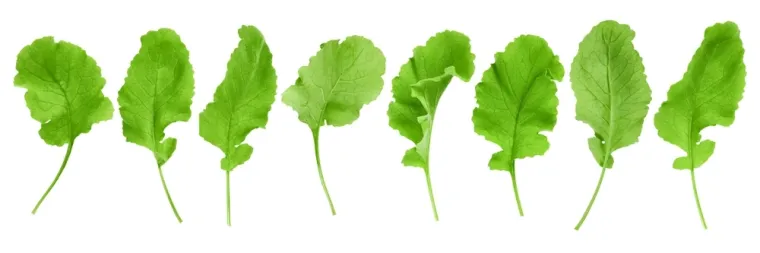 Nije lako prepoznati li&scaron;će ovog povrća: Dokaži da si genije na ovom kvizu