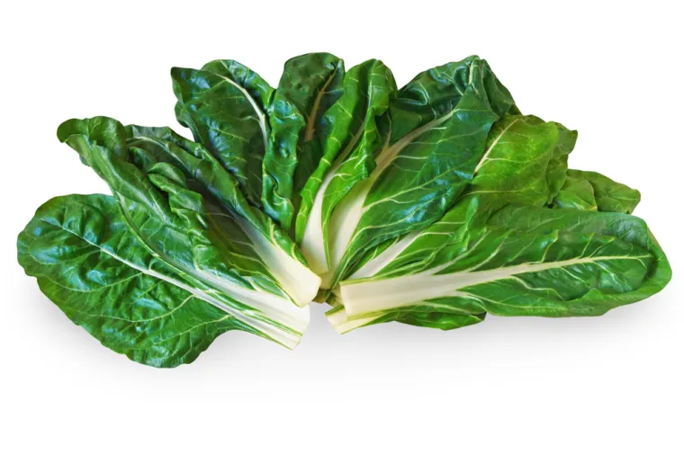 Nije lako prepoznati li&scaron;će ovog povrća: Dokaži da si genije na ovom kvizu