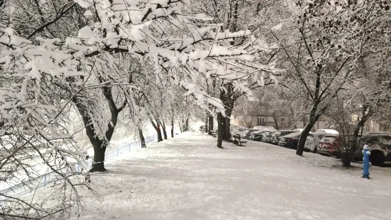 Osječani se probudili pod debelim snježnim pokrivačem: Prizori su nadrealni...