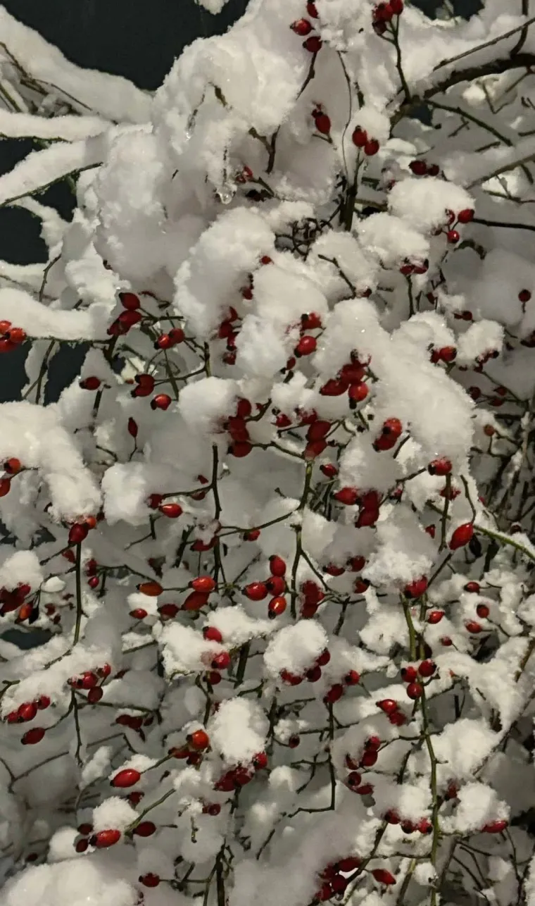Snijeg kroz objektiv na&scaron;ih čitatelja: Donosimo vam zimske prizore iz cijele Hrvatske
