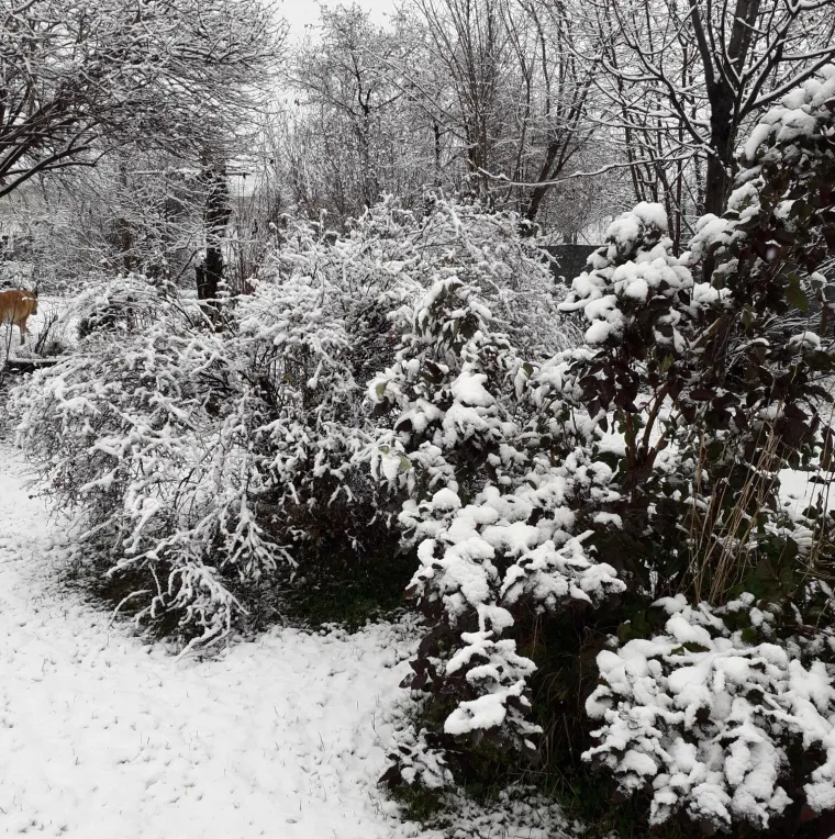 Snijeg kroz objektiv na&scaron;ih čitatelja: Donosimo vam zimske prizore iz cijele Hrvatske