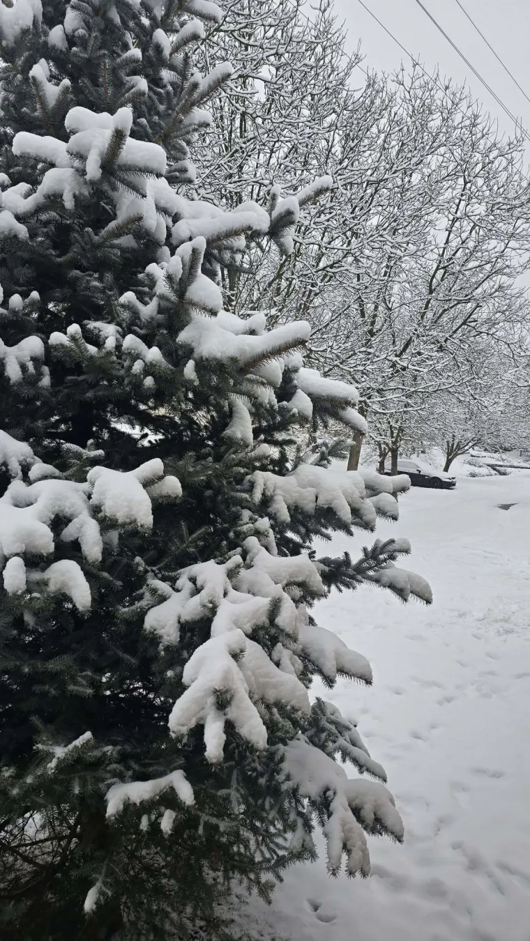 Snijeg kroz objektiv na&scaron;ih čitatelja: Donosimo vam zimske prizore iz cijele Hrvatske
