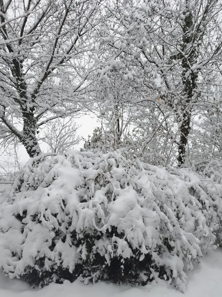 Snijeg kroz objektiv na&scaron;ih čitatelja: Donosimo vam zimske prizore iz cijele Hrvatske