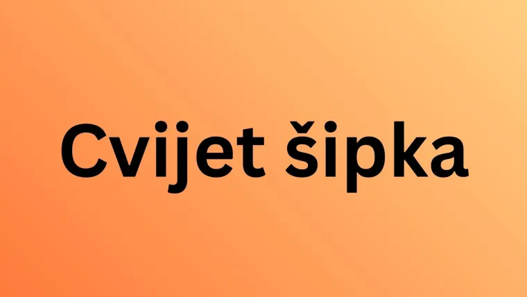 Mora&scaron; izvrsno poznavati zastave država svijeta kako bi imao sve točno: Dokaži da nije nemoguće