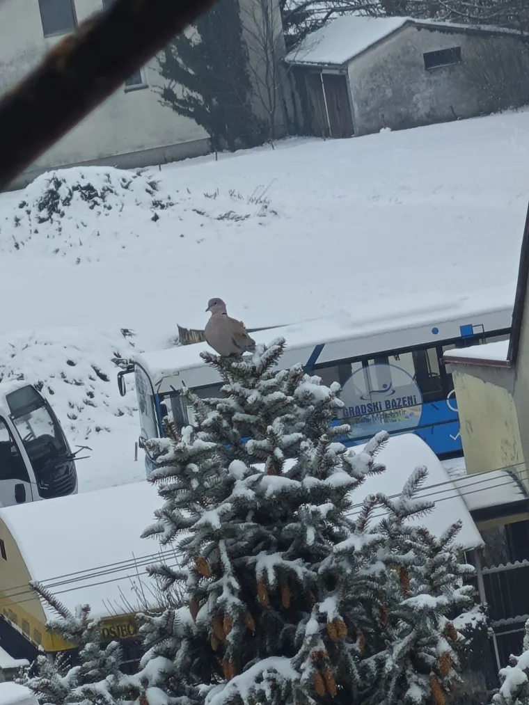 Idilični prizori diljem Hrvatske: Je li snijeg stigao i u va&scaron; kraj?