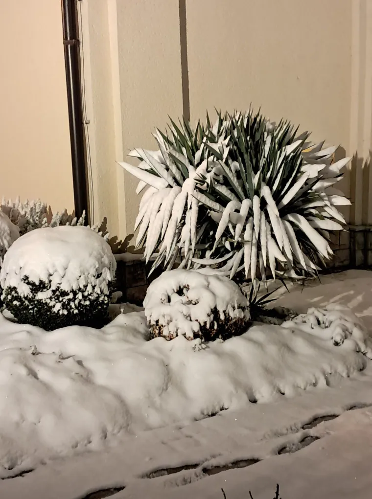 Idilični prizori diljem Hrvatske: Je li snijeg stigao i u va&scaron; kraj?