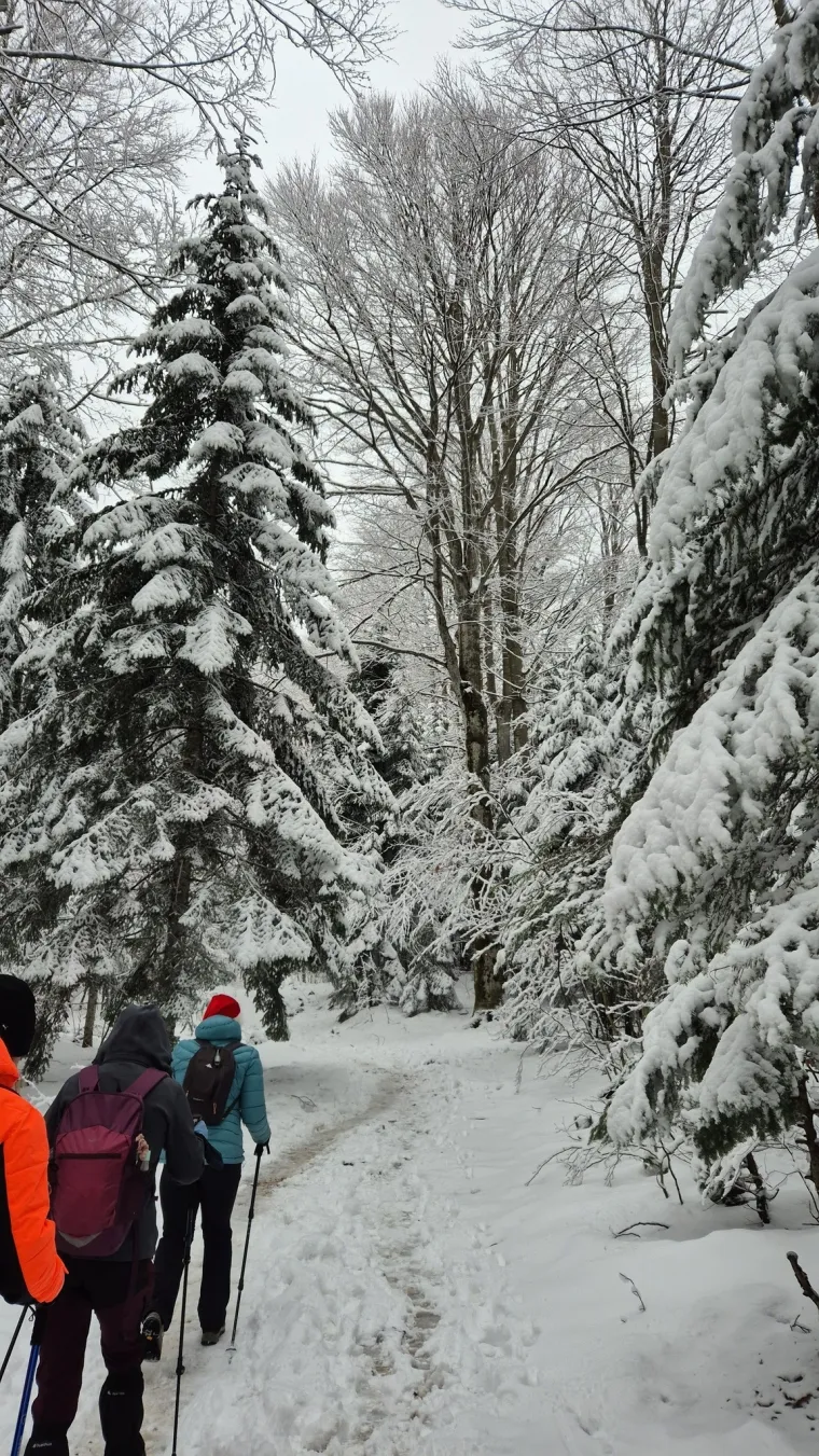 Idilični prizori diljem Hrvatske: Je li snijeg stigao i u va&scaron; kraj?