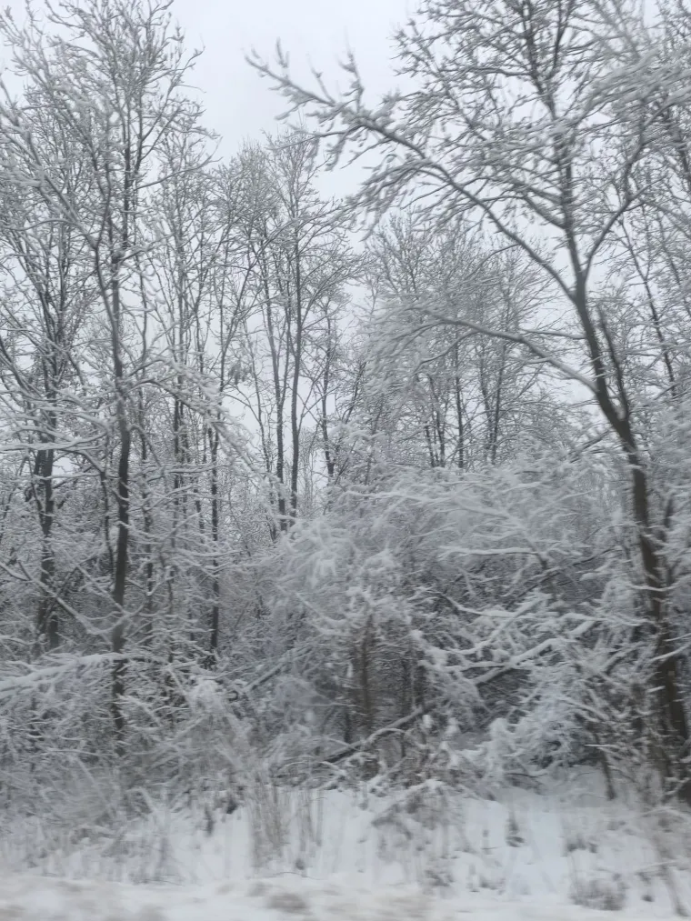 Idilični prizori diljem Hrvatske: Je li snijeg stigao i u va&scaron; kraj?