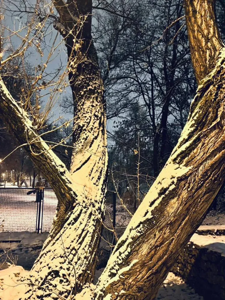 Idilični prizori diljem Hrvatske: Je li snijeg stigao i u va&scaron; kraj?