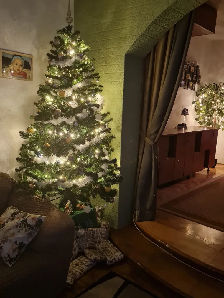 Želimo da blagdanski duh jo&scaron; malo potraje: Ovih 50 jelki ispunile su nas toplinom i srećom