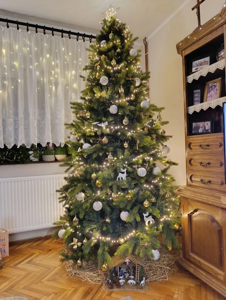 Želimo da blagdanski duh jo&scaron; malo potraje: Ovih 50 jelki ispunile su nas toplinom i srećom