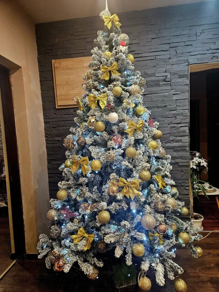 Želimo da blagdanski duh jo&scaron; malo potraje: Ovih 50 jelki ispunile su nas toplinom i srećom