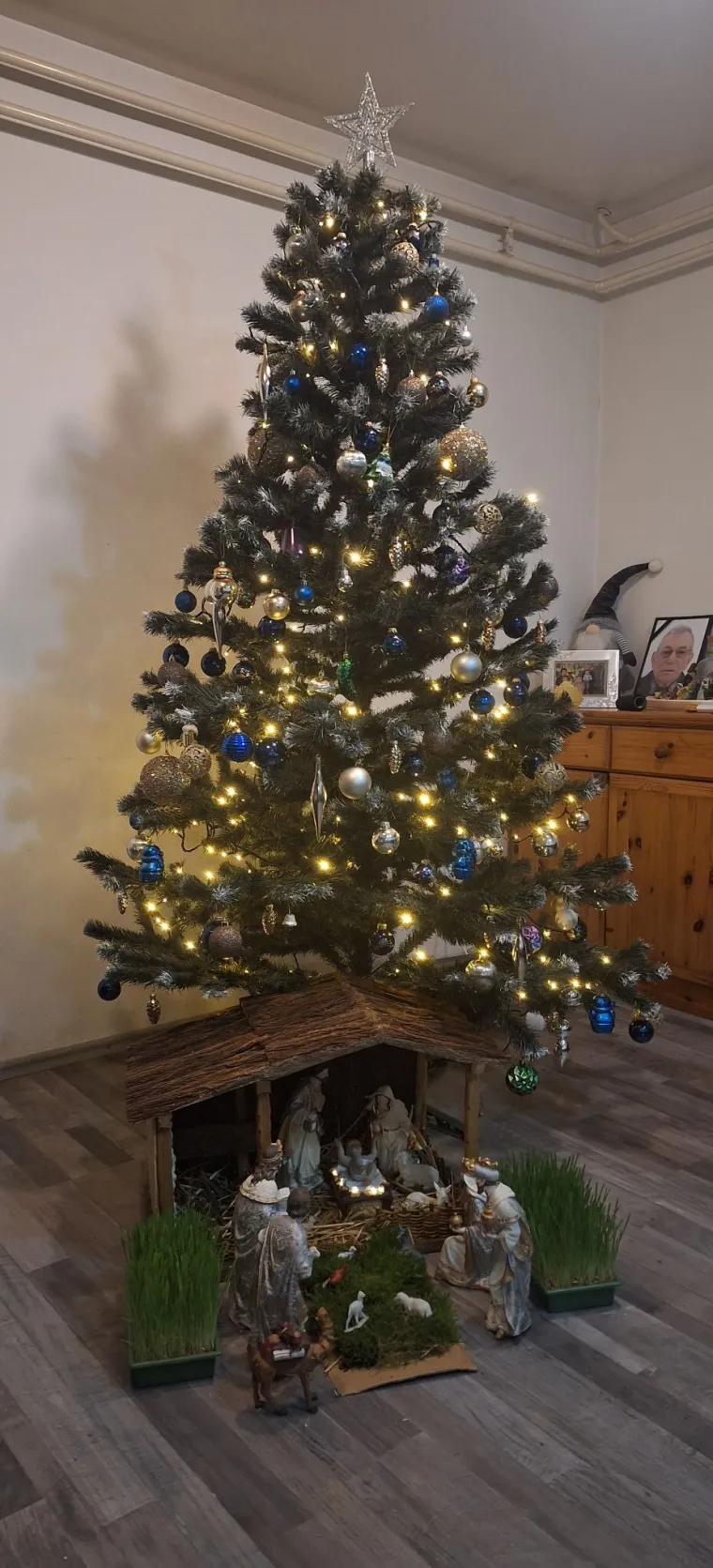 Želimo da blagdanski duh jo&scaron; malo potraje: Ovih 50 jelki ispunile su nas toplinom i srećom