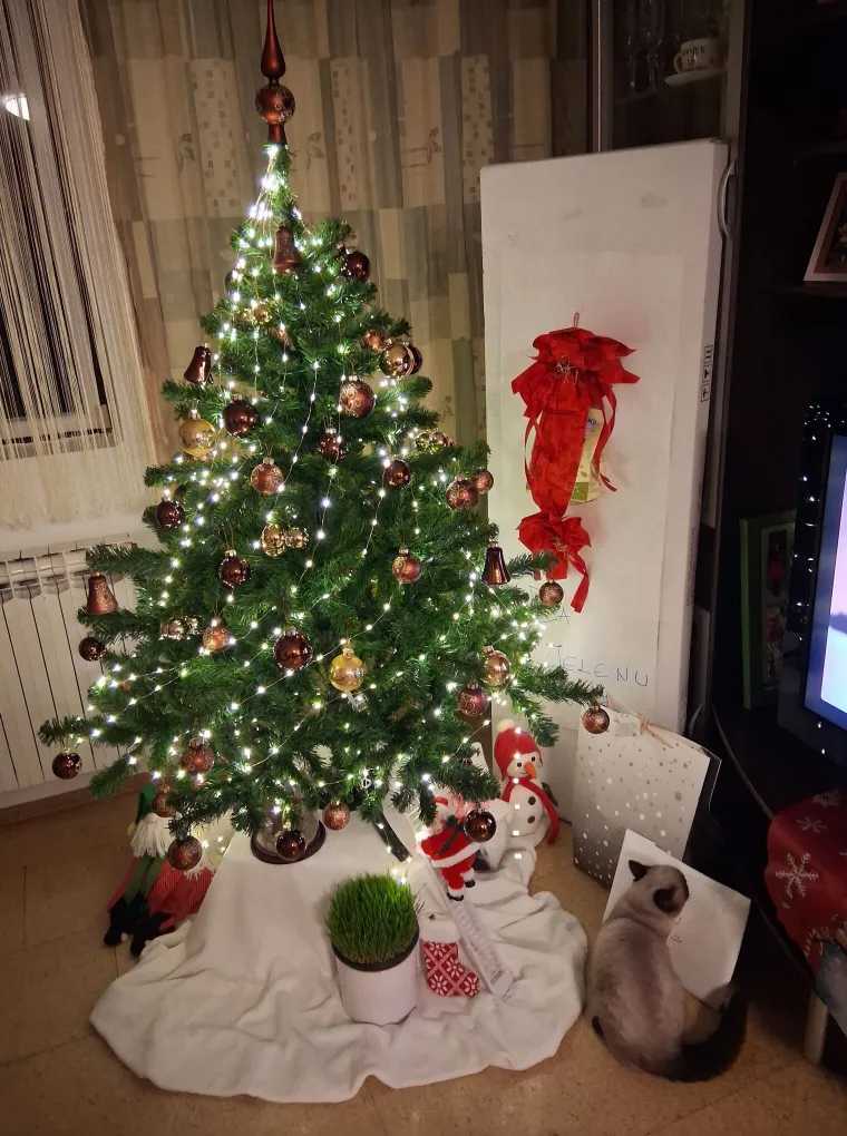 Želimo da blagdanski duh jo&scaron; malo potraje: Ovih 50 jelki ispunile su nas toplinom i srećom