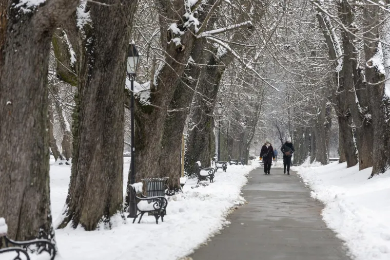 Kakva zimska čarolija: Osječani uživali na snijegu, a ovi prizori dugo će se pamtiti