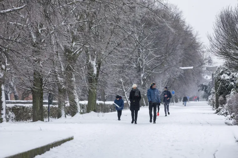 Kakva zimska čarolija: Osječani uživali na snijegu, a ovi prizori dugo će se pamtiti