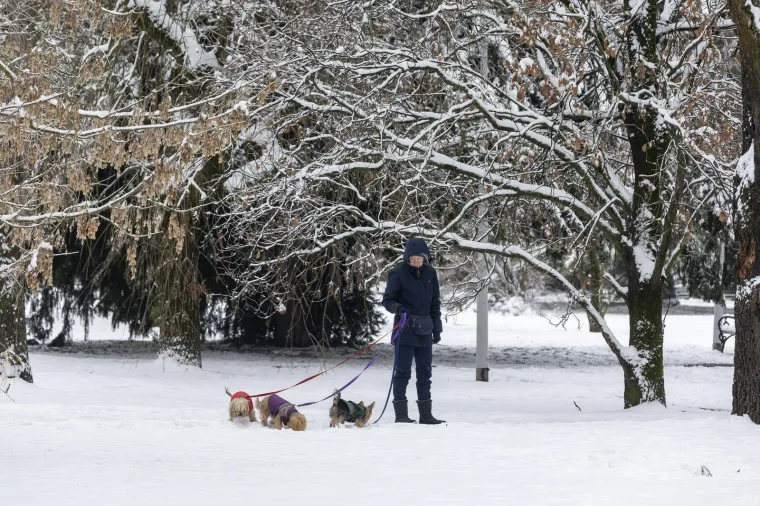 Kakva zimska čarolija: Osječani uživali na snijegu, a ovi prizori dugo će se pamtiti
