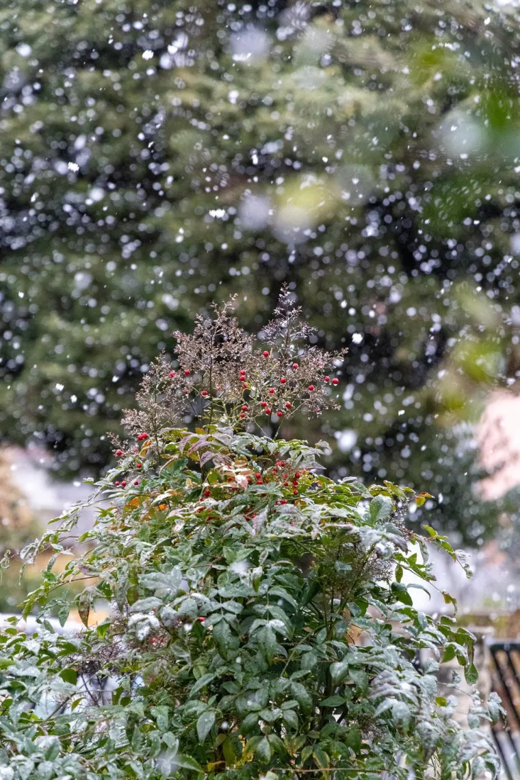 Snijeg u Puli nakon 15 godina! Rijetki prizori odu&scaron;evili građane i turiste