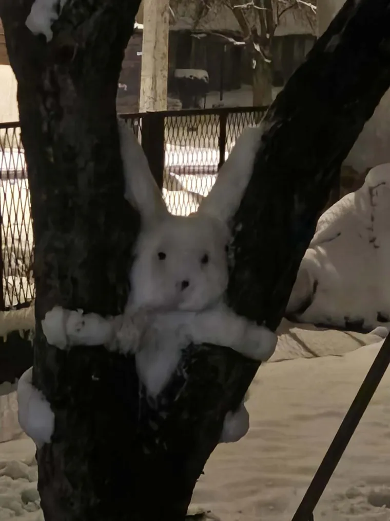 Hrvatsku preplavili urnebesni snjegovići, posebno su kao autori bili inspirirani čitatelji Net.hr-a