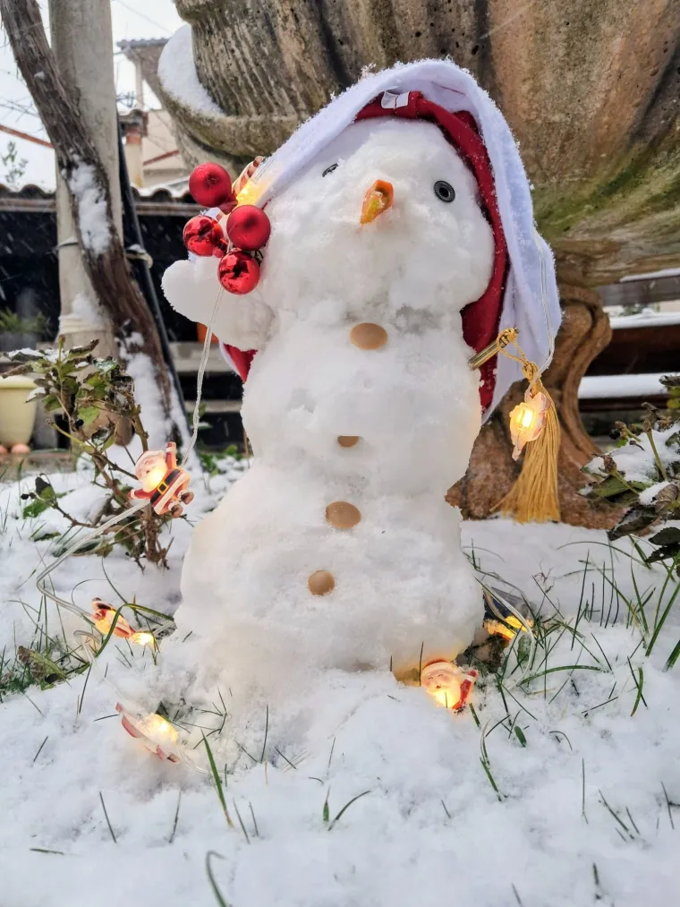 Hrvatsku preplavili urnebesni snjegovići, posebno su kao autori bili inspirirani čitatelji Net.hr-a