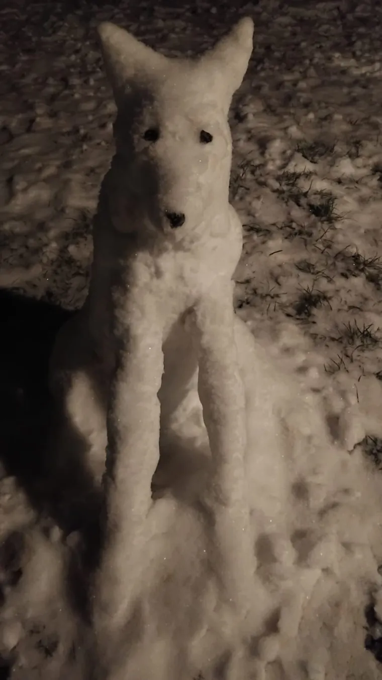 Hrvatsku preplavili urnebesni snjegovići, posebno su kao autori bili inspirirani čitatelji Net.hr-a