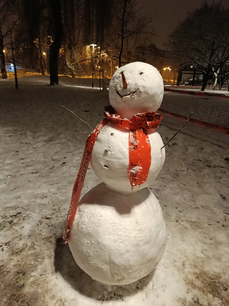 Hrvatsku preplavili urnebesni snjegovići, posebno su kao autori bili inspirirani čitatelji Net.hr-a