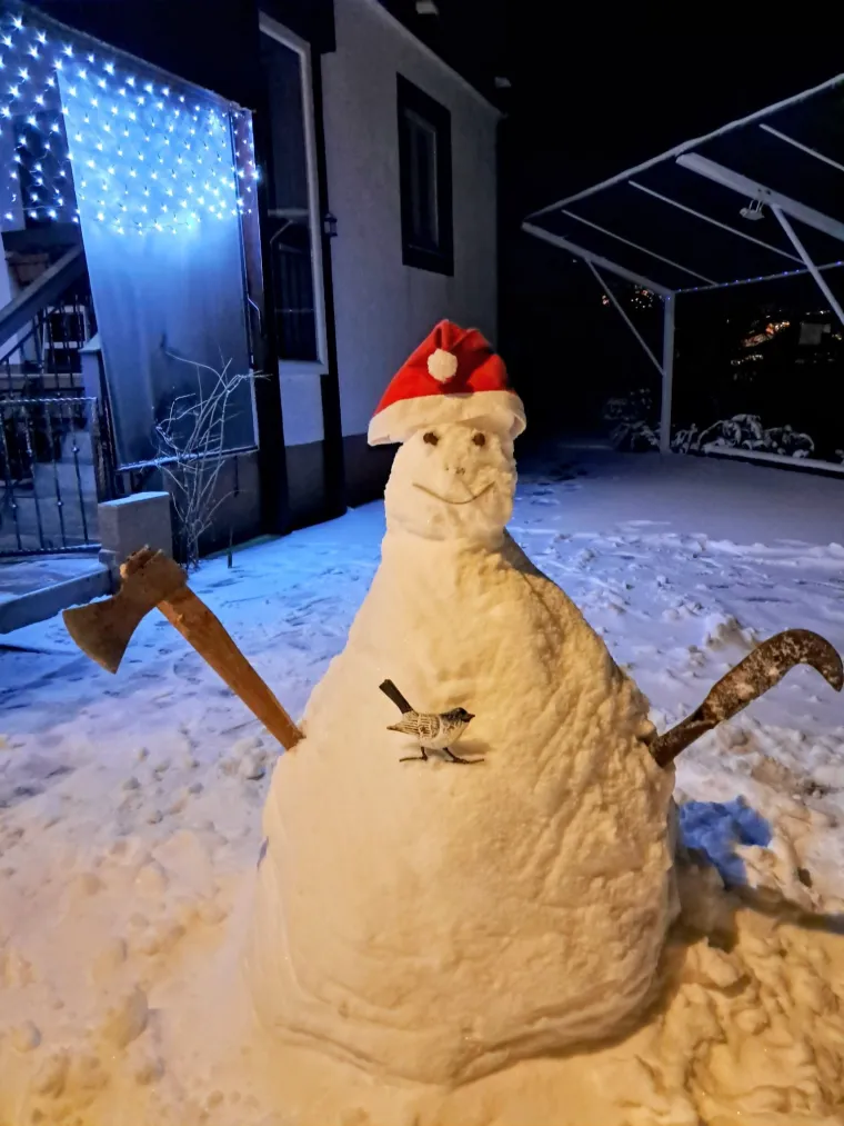 Hrvatsku preplavili urnebesni snjegovići, posebno su kao autori bili inspirirani čitatelji Net.hr-a