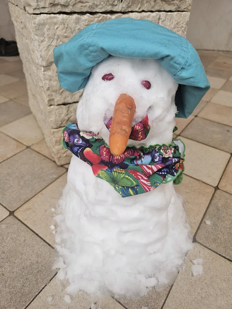 Hrvatsku preplavili urnebesni snjegovići, posebno su kao autori bili inspirirani čitatelji Net.hr-a