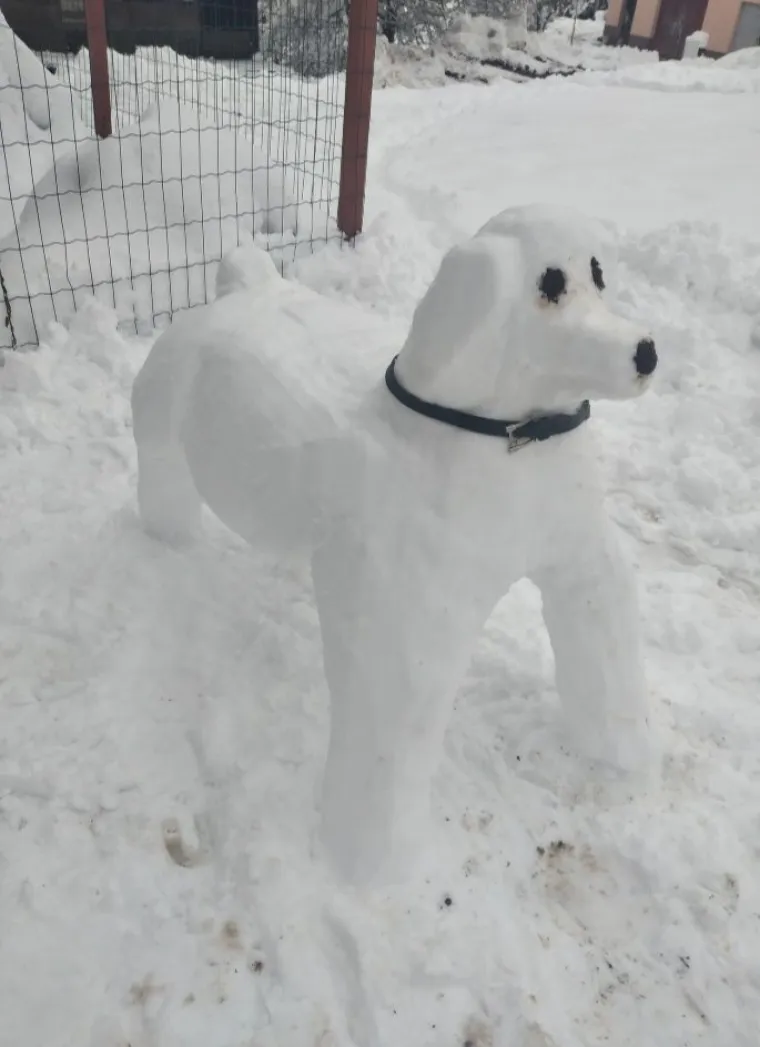 Hrvatsku preplavili urnebesni snjegovići, posebno su kao autori bili inspirirani čitatelji Net.hr-a