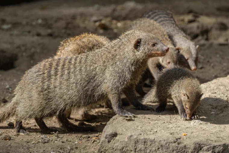 Samo će najveći poznavatelji Hrvatske rasturiti na pitanjima o nacionalnim parkovima